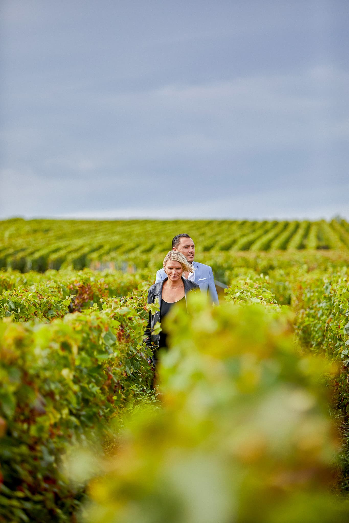 Vignobles historiques classés Grand Cru de Verzenay - Terroir d'exception de la Maison James Drouot